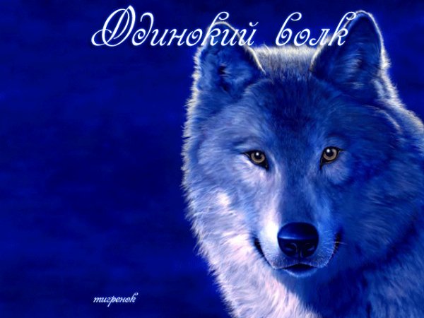 ОДИНОЧЕСТВО LIVE