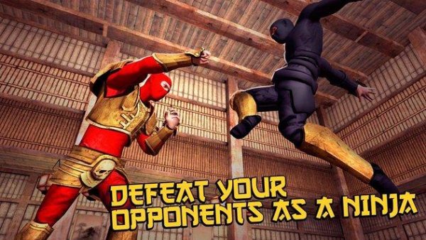 Ninja Kung Fu Fighting 3D v 1.3