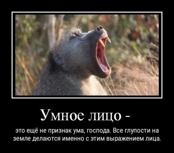 Умное лицо - это ещё не признак ума