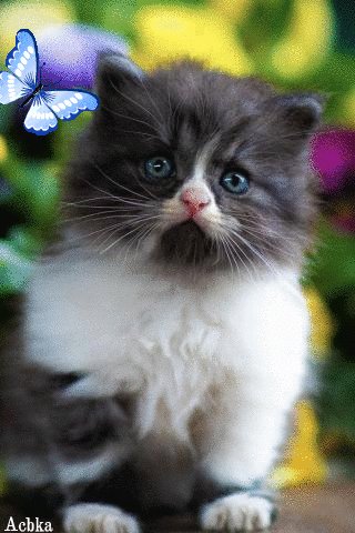 file_97514864