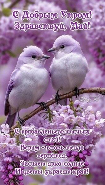 IMG 20260502 234406