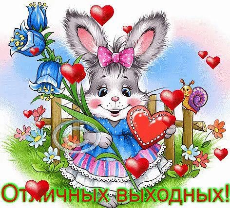 IMG-20190224-WA0013