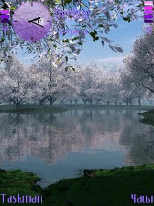 spring