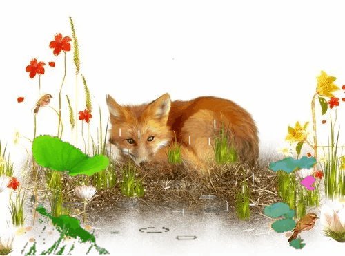 ЛисаЛетоДождь