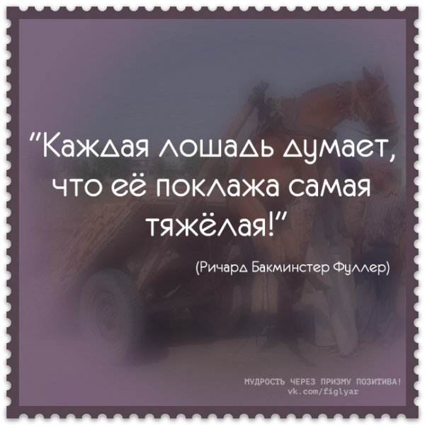 Лошадь