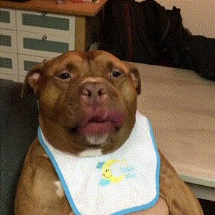 К приёму пищи готов