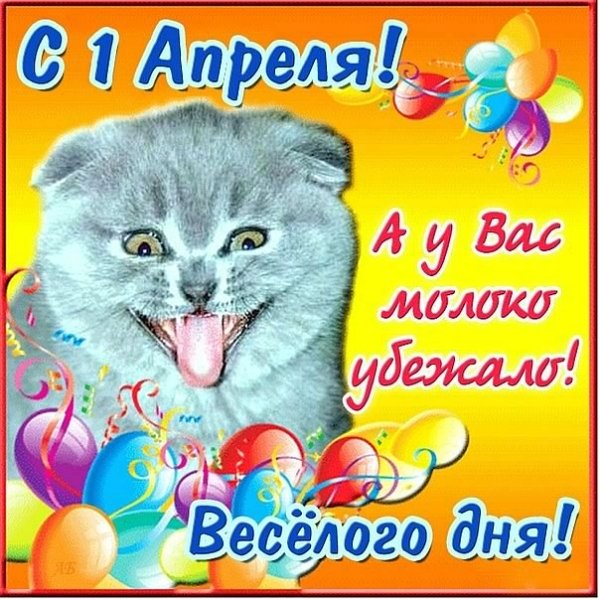 1I