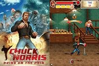 chuck norris bring on the pain (128x160)