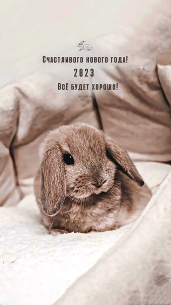 file_92210973