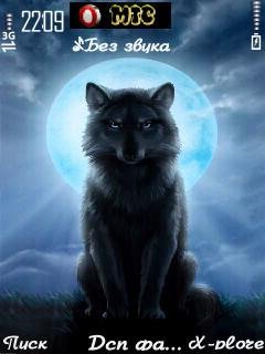 Wolf by Mubadalla