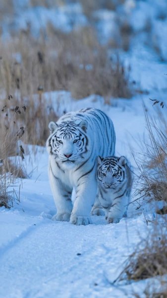 FB IMG 1762805309937