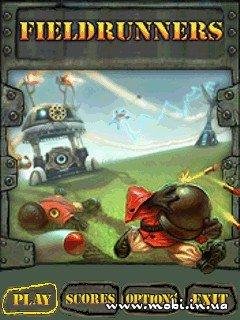 Полевые бегуны