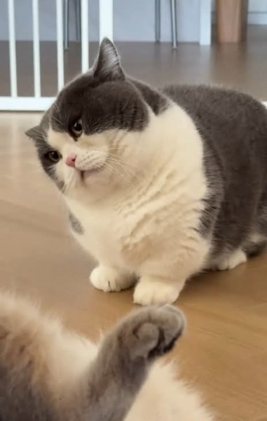 FB IMG 1771329581646