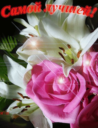 анимированная открытка самой лучшей