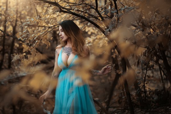 nastol.com.ua 273090