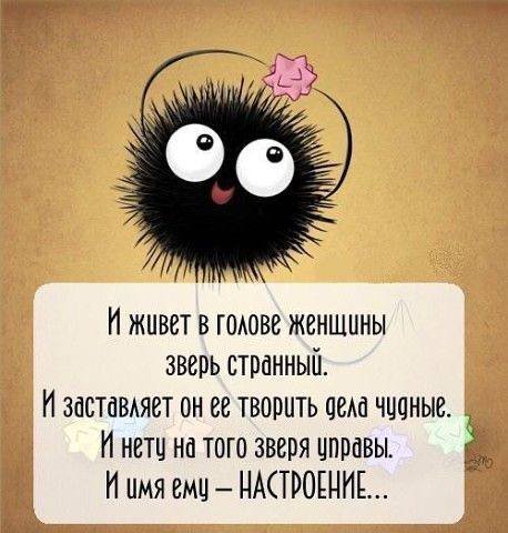 file_94841463