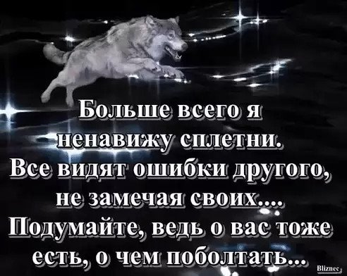 Bolbwe vsego ya nenavizhu spletni