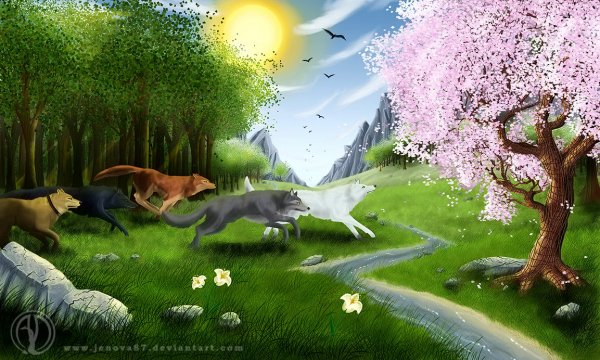 wolf s rain paradise found by jenova87-d