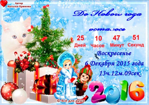 IMG 20151206 181303 1