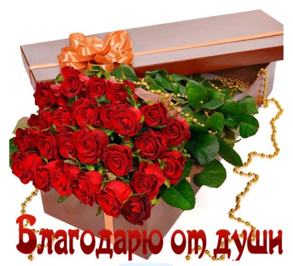 file_101123514