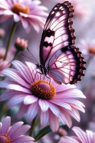 file_101318381