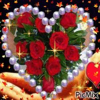 be1be7d7b655996a3d9eee5cb22c3b1d