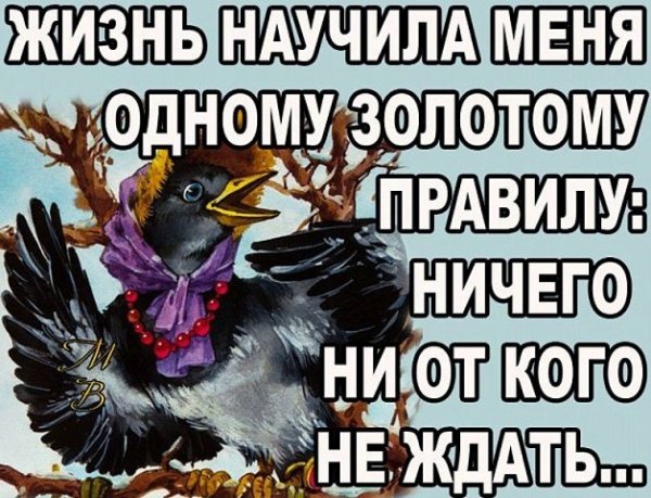 Жизнь научила