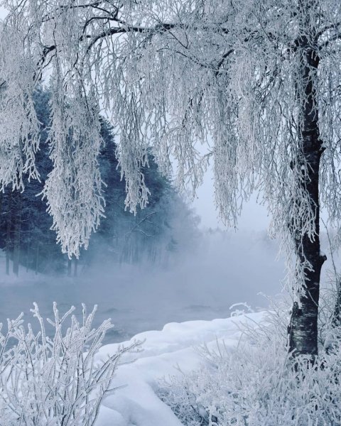 Зимний пейзаж