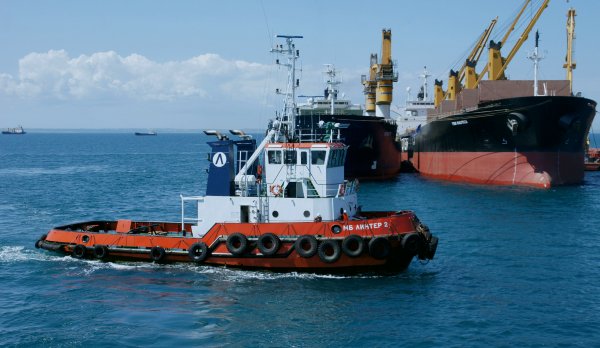 IMG viter59 154842
