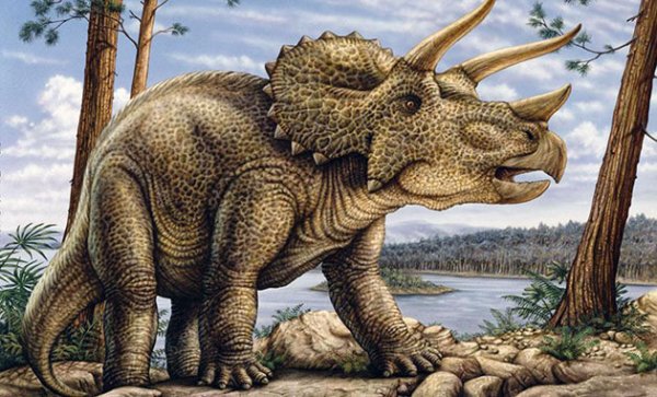 triceratops-prodolzhitelnost-zhizni