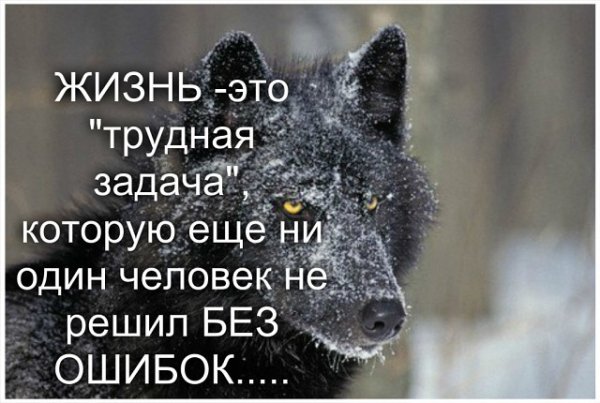 image233