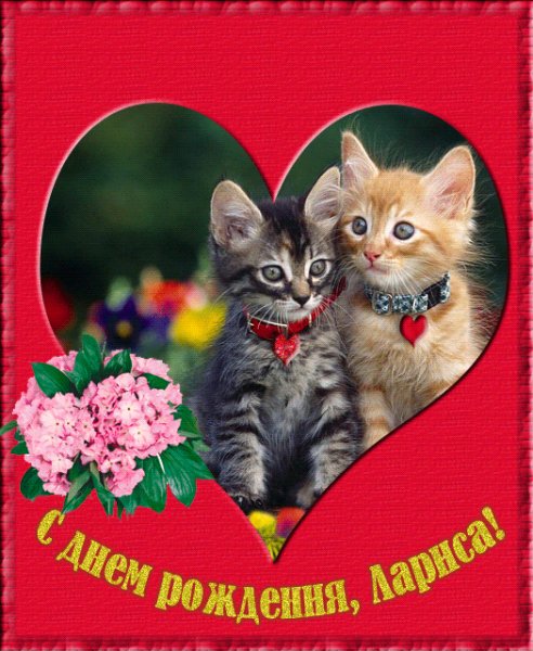 С Днем Рождения Лариса