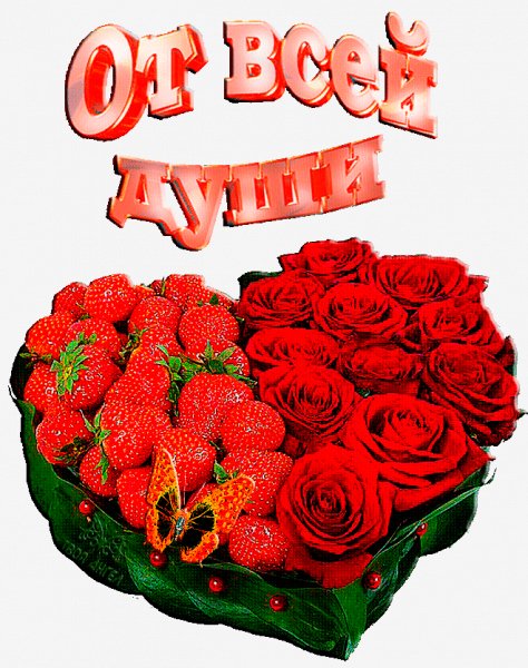 IMG 20171216 165905 61