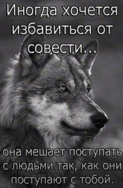 FB IMG 1771695767009