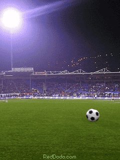 Sever Ru-igorq soccer