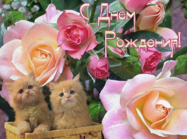 С Днём рождения!
