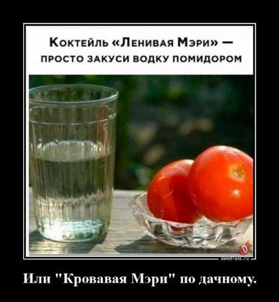 Кровавая Мери по дачному