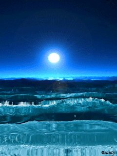 file_54731605