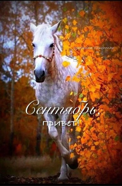 Сентябрь