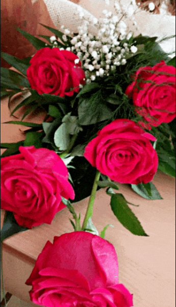 Найдено на GIFER