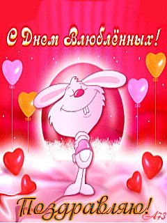 file_13371576