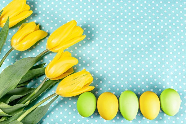 Tulips Easter Eggs Yellow 581378 600x400