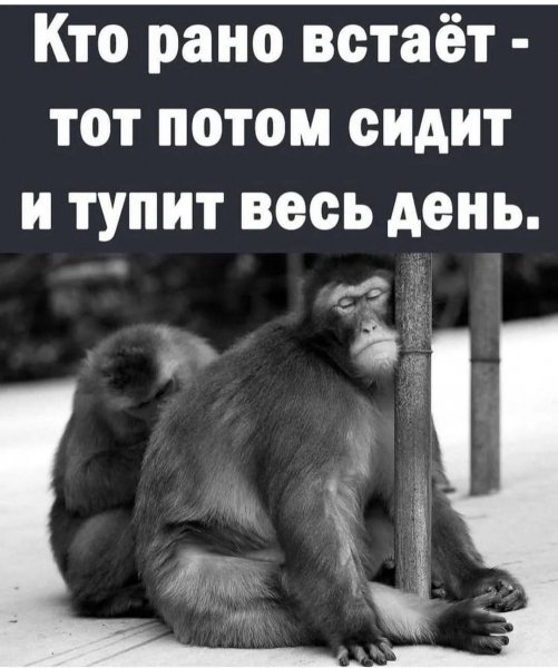 FB IMG 1778525839016