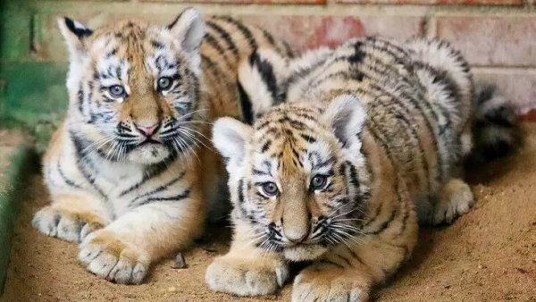 0c761f4c07af6c4926e9684628b3d408