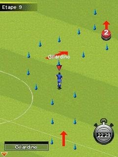 realfootball2010 sonyericsson k310i