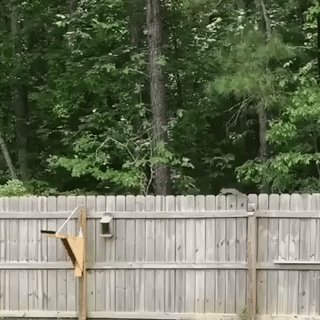 Катапультация)