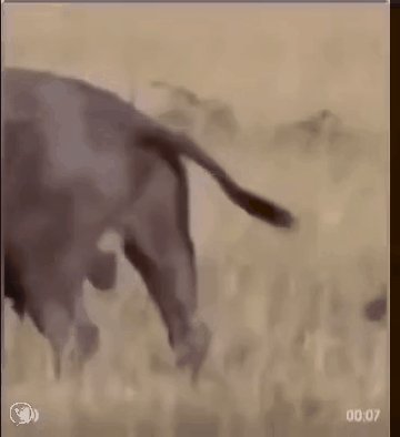 упс 000511