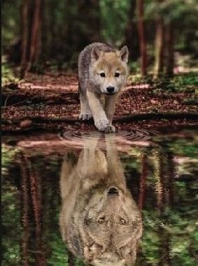 D4859689c717f5f82e384a4f75308a22