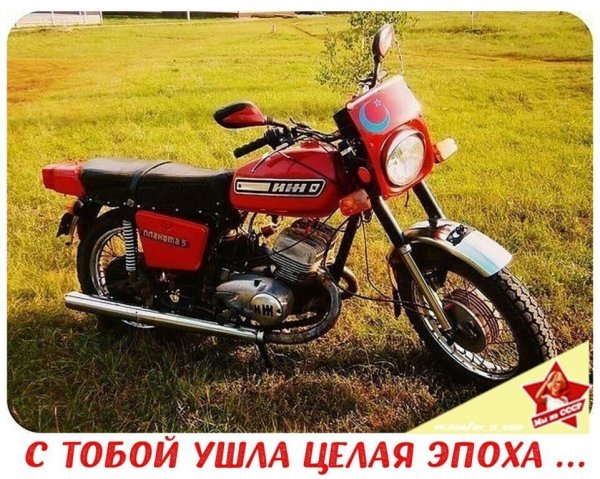 file_89479729