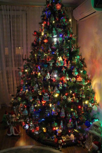 image (56)